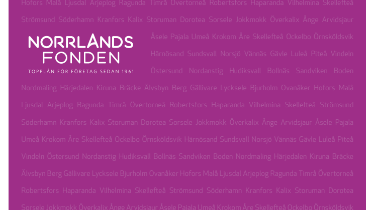 Norrlandsfondens årsredovisning med hållbarhetsredovisning 2018