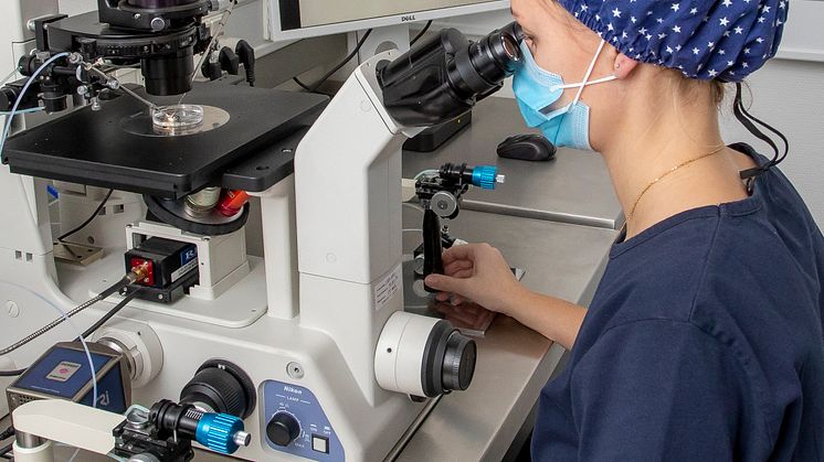 I løbet af de seneste 40 år er langt over 100.000 danskere blevet undfanget ved fertilitetsbehandling. Foto: Copenhagen Fertility Center