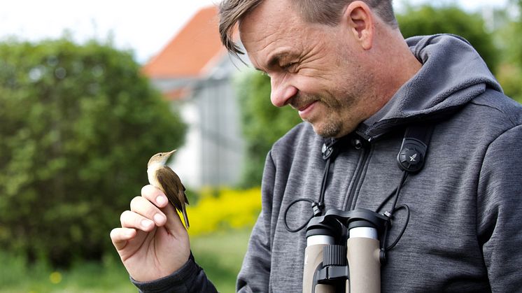 niklas-aronsson.jpg