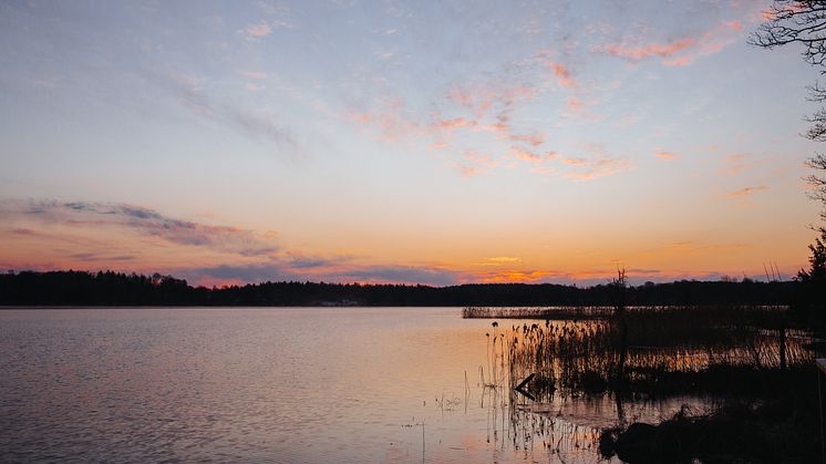 The Edible Country - Wallby Säteri