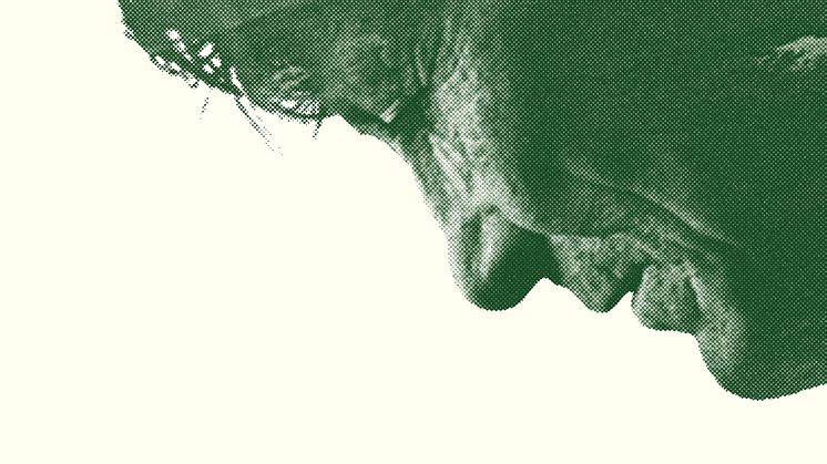 4.5_Ingemansland_Poster_