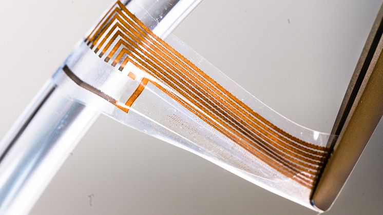 De mjuka elektroderna som Klas Tybrandts forskargrupp vid Linköpings universitet har utvecklat är töjbara för att kunna följa med i kroppens rörelser utan att skada vävnaden. De innehåller extremt tunna trådar av guld. Foto: Thor Balkhed