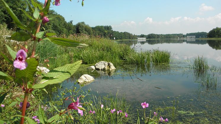 20231025_Ökologische Dammgestaltung Donau