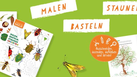 Malen, Basteln, Staunen - Die neuen Mitmachbücher rund um das Thema Natur 