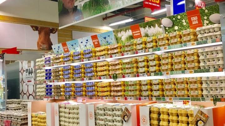 ICA Maxi Norrköping väljer Stjärnägg!