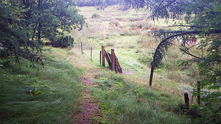 Mastrup Søndersti ved Støvring
