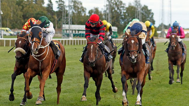 Hard One To Please (grön/vit dress) vinner Stockholm Cup International (Gr.3) på Bro Park. Foto: Steven Cargill