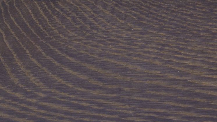 Timberex Active Stain  Deep Grey