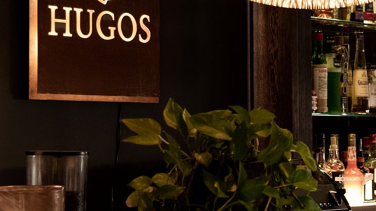 arken-hotel-art-garden-spa-hugos-bar-3170