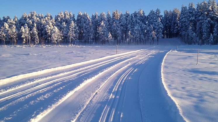 Vasaloppet ski trails between Sälen and Mora are now ready