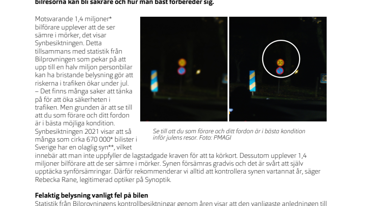 Synbesiktningen 2021_morker_jultrafiken.pdf