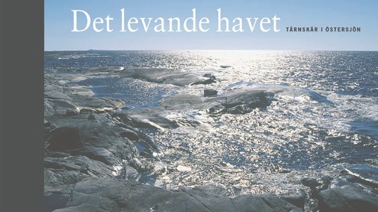 Ny naturfotobok: Det levande havet -- Tärnskär i Östersjön