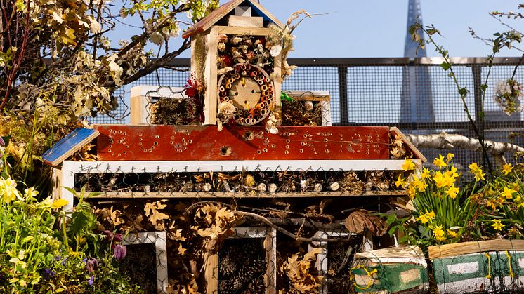 GTR unveils The Bug Station