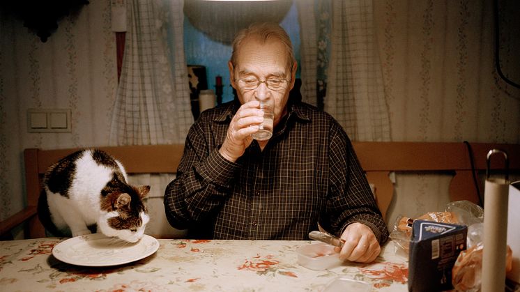 Katt People - Foto Julia Lindemalm