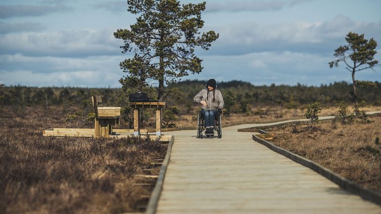 Välbyggda spänger på Dumme Mosse är ett gott exempel på tillgänglighetsåtgärder i Jönköping.