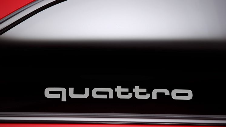 A5 DTM selection - quattro logo i siderude