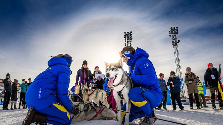 GS_20220312_DraghundsVM_2411.jpg