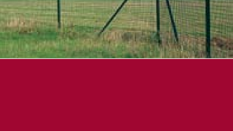 Betafence žogi. Pantanet Fortinet 