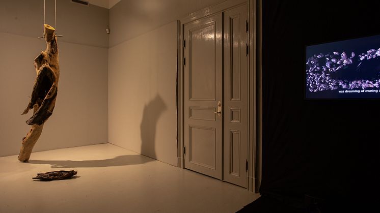Installationsvy_Examensutstallning Konstfack_2024.jpg