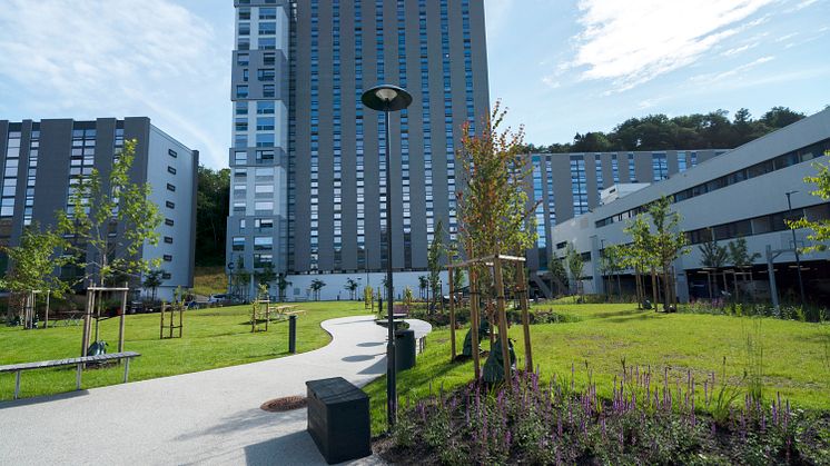 Nye Fantoft - med ny park og nye fasader på plass