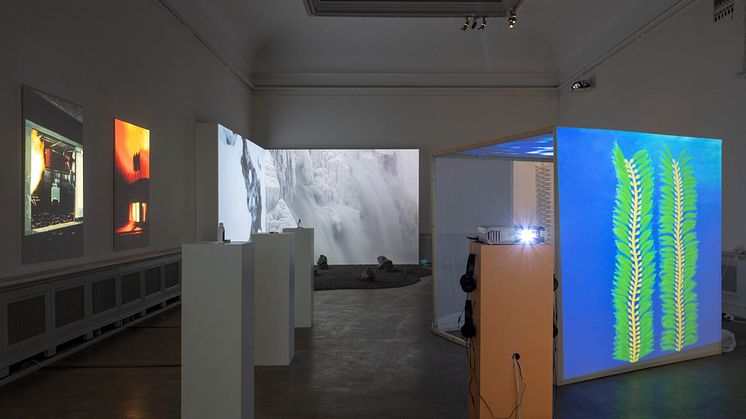 Utställningsvy, Kungl. Konsthögskolans vårutställning 2018