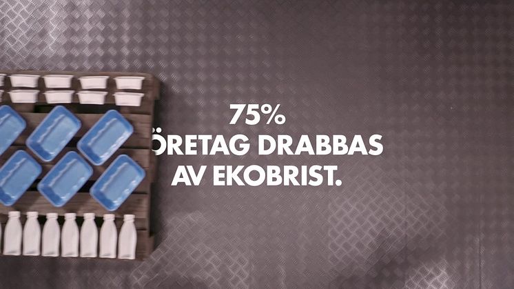 Vem tjänar på den svenska ekobristen?