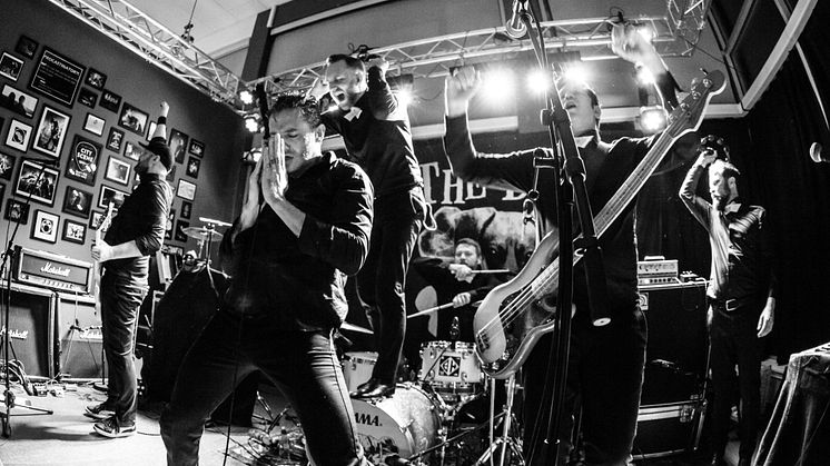 Konsert med The Dogs på Studenthuset City Scene i Alta november 2015. Foto: Vibeke Opgård