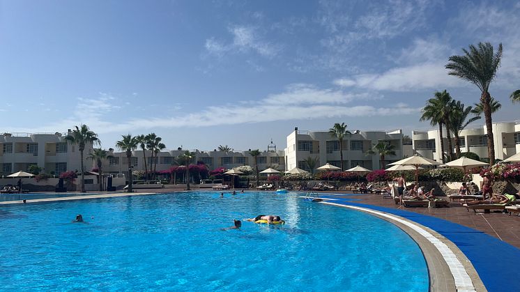 Amisol Travel har belagt hotellet Sharm Reef på Egyptens Sinai-halvø med 50 procent for at skabe luft mellem gæsterne, i restauranten og ved poolen. Foto: PR.