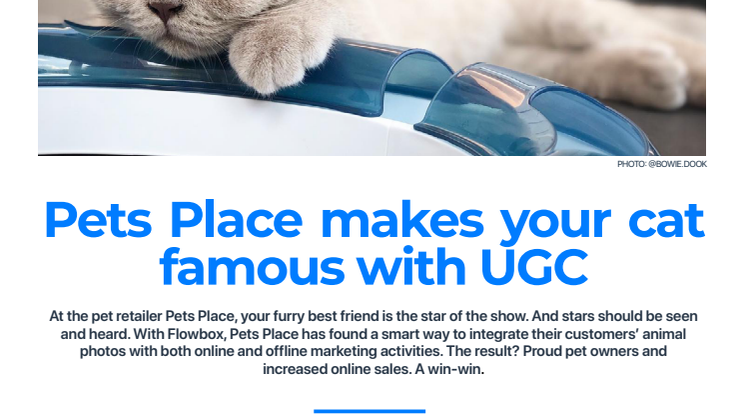 Pets Place makes your cat famous with UGC