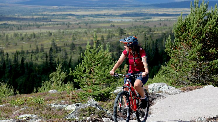 Stigcykling i Lofsdalen i Lofsdalen Fjällpark MTB