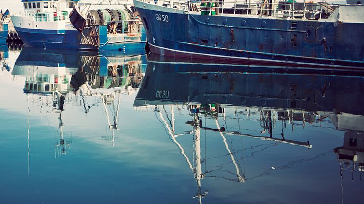 HaV stänger fiske i Skagerrak för att skydda ungfisk
