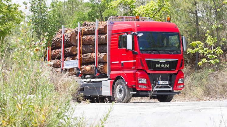 MAN TGX