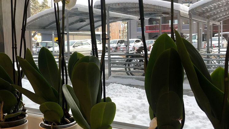 Inflyttning pågår! HSB Brf Björkalund 1