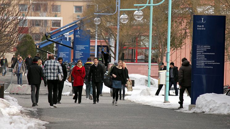 Civilingenjörsutbildningarna på LTU ökar kraftigt