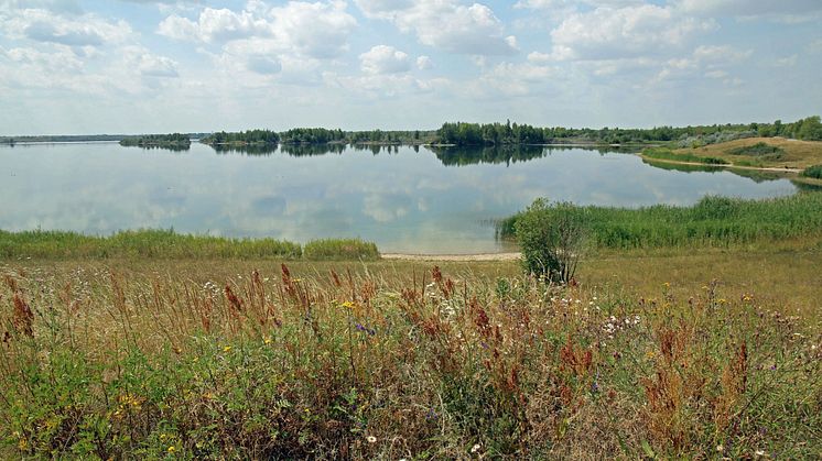 Werbeliner See im Leipziger Neuseenland