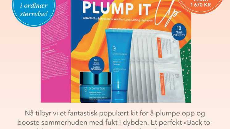 Dr Dennis Gross PLUMP IT UP KIT 