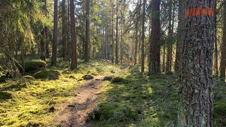 En dag för vandring – Bruksledens dag 3 september!
