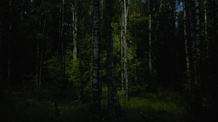 Polestar3_Shapeofthingstocome_GreyCar_50s_16-9_220509.mp4