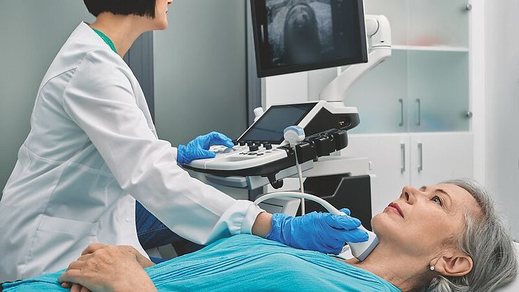 Das Herz ist ein wesentliches Zielorgan der Schilddrüsenhormone. Eine Fehlfunktion der Schilddrüse wirkt sich daher auch auf Herz und Kreislauf aus.