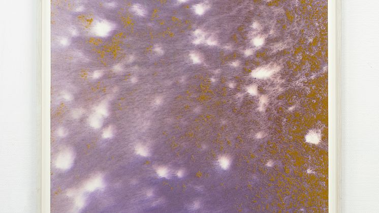 Fanny Hellgren. Symbiosis.