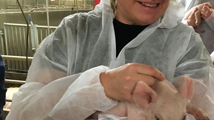 Vi vill ha schyst skinka på julbordet