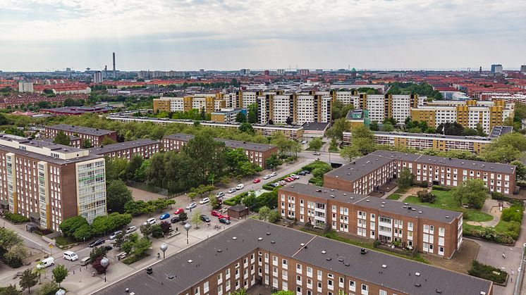 Örtagården med Törnrosens gula tegelbyggnader i bakgrunden. Foto: Joakim Lloyd Raboff