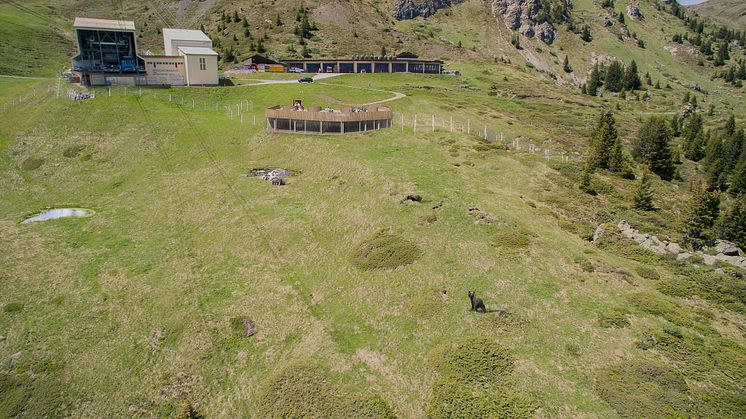 Neues Bärenland in Arosa (Graubünden)