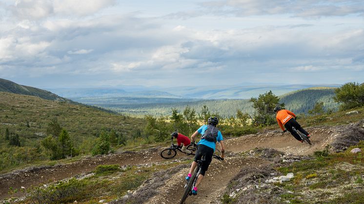 Cykling i Lofsdalens Fjällpark