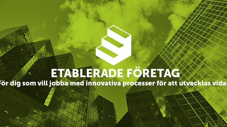 Kunskapshöjd,  kapitalbehov och hållbarhet bland 2018-års bolag i Dalarna Science Park