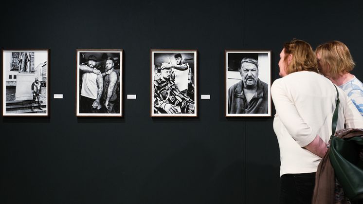Purple Path_Oelsnitz_Brönner_Ausstellungsansicht Melting Pott_Foto_Mark Frost3.jpg