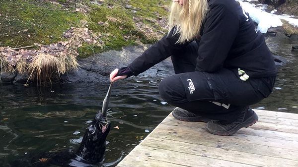Lärling från Realgymnasiet i Stockholm på Skansen.