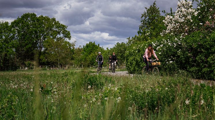Raus auf´s Rad und den Frühling in Brandenburg genießen wie hier im Seenland Oder-Spree. Foto: TMB-Fotoarchiv/Madlen Krippendorf. 