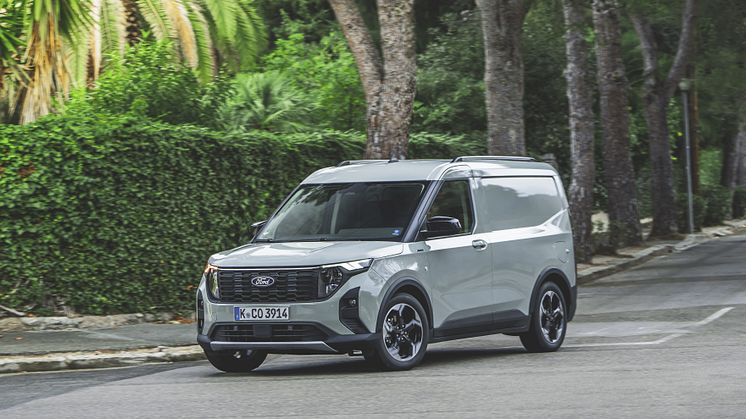 Transit Courier Cactus Grey (8)