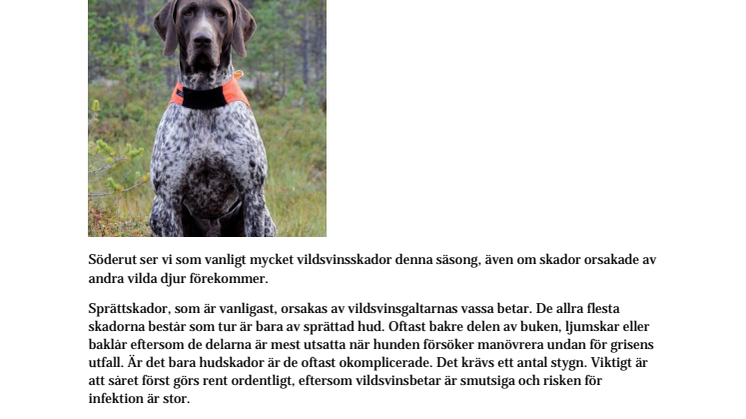 Olika jaktskador i norr och söder